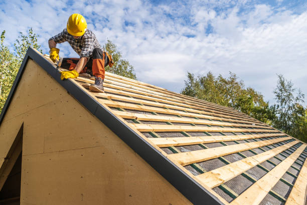 Best Metal Roofing Contractor  in Stockton, MO